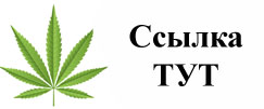 Купить наркотики в Новороссийске